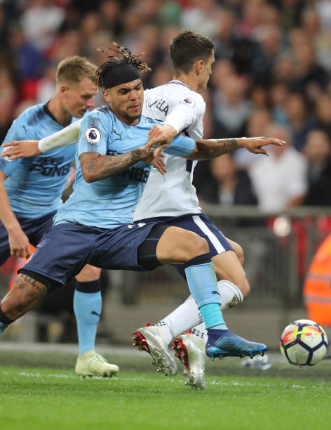 本文将详细 本文将详细