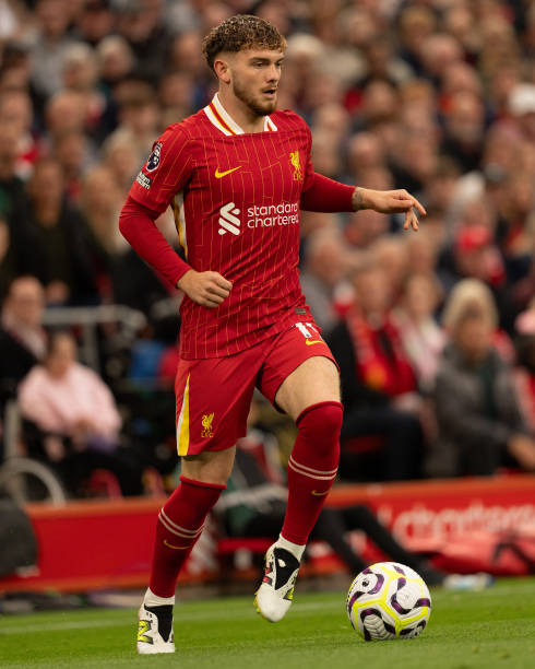 年世界杯决 年世界杯决